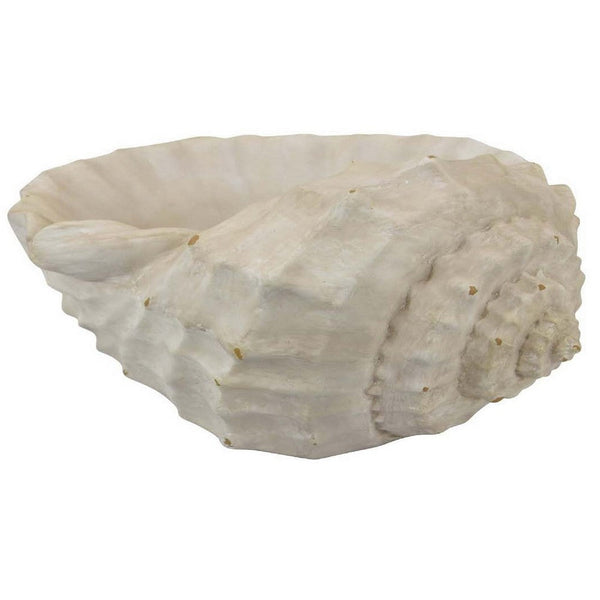 19 Inch Conch Shell Decor, Authentic Coastal Style, Off White White Resin - BM312553