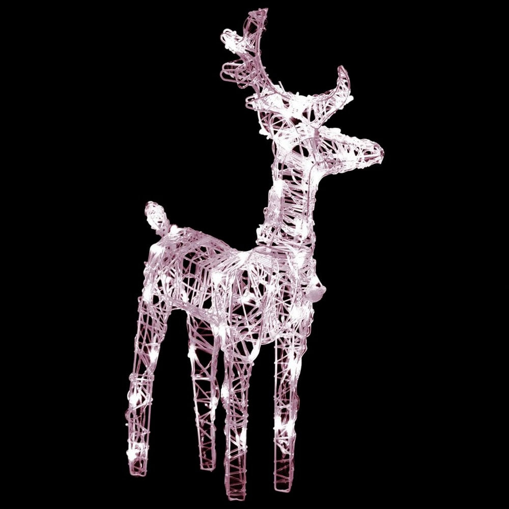 2pc Outdoor Christmas Reindeer with Sleigh, 160 Warm White LED Lights -BM325880