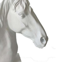Genny Tabletop Horse Head Sculpture, White Resin Statuette, 19 Inch -BM331340