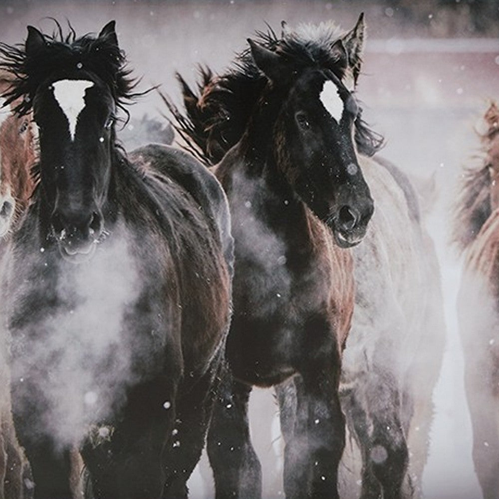Hose Wall Art, 36x48 Painted Canvas, Brown Black White Running Horses -BM332882