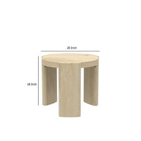 Lony Side End Table, 20 Inch Round, Modern Panel Legs, Natural Brown -BM333214
