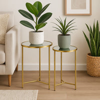 Modern Plant Stand Table Set of 2, Round Mirror Top, Gold Metal Base -BM334816