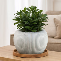 Nios Decorative Vase, Short and Wide, 17 Inch Weathered White Resin -BM334929