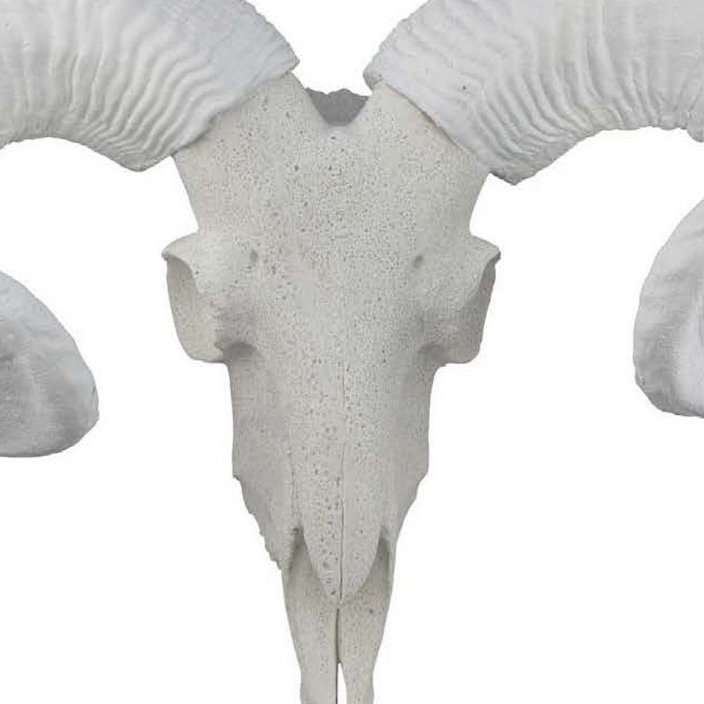 Mitch Bighead Sheep Ram Sculpture w Curved Horns, White Resin 16 Inch -BM335034