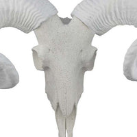Mitch Bighead Sheep Ram Sculpture w Curved Horns, White Resin 16 Inch -BM335034