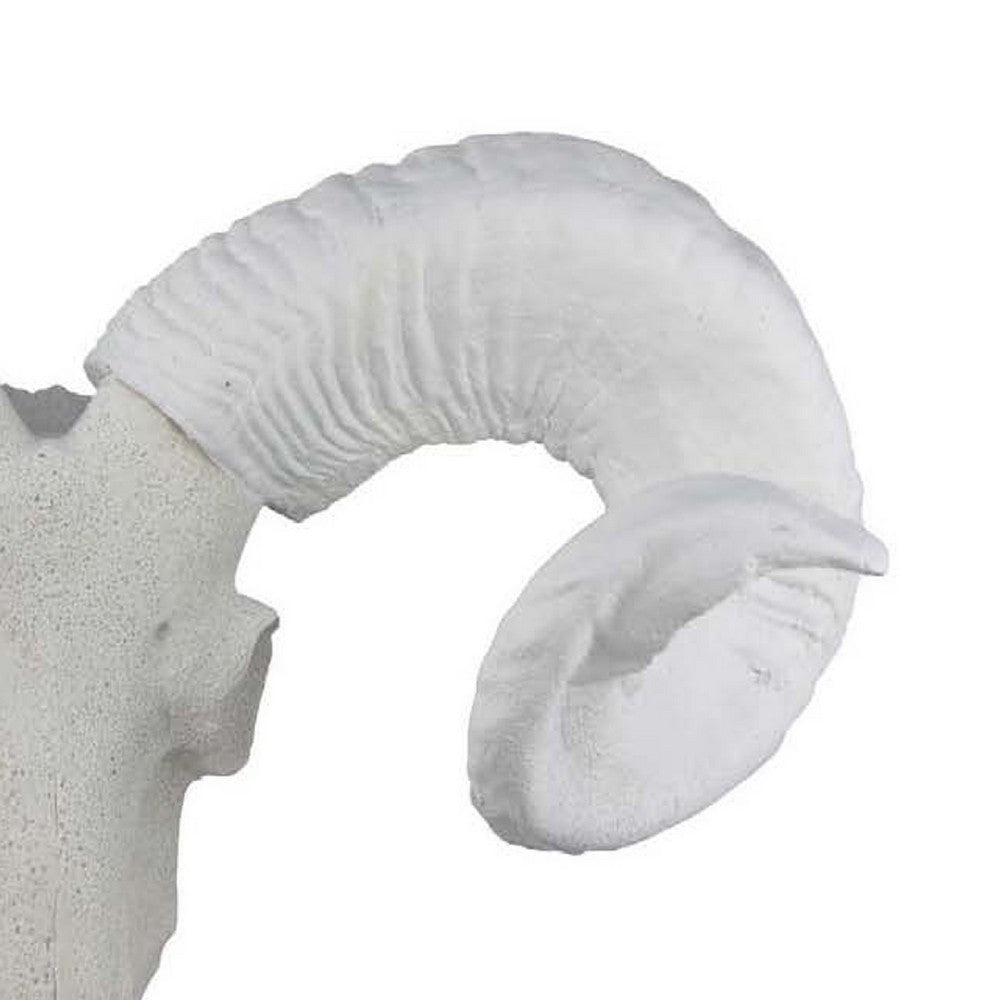 Mitch Bighead Sheep Ram Sculpture w Curved Horns, White Resin 16 Inch -BM335034