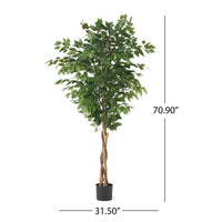 Deso Artificial Ficus Tree, Green Leaves w Twisted Trunk, 71 Inch -BM335369