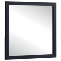 Dex Rectangular Dresser Mirror, Non-Beveled Glass, Black Wood-Melamine - BM338141