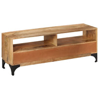 TV Stand, Brown Mango Wood, 2 Shelves and 2 Drawers, 47 Inch - BM340458