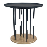Neci 20 Inch Side End Table, Round Matte Black Tray Top, Modern Rod Supports with Brass Base - UPT-298835