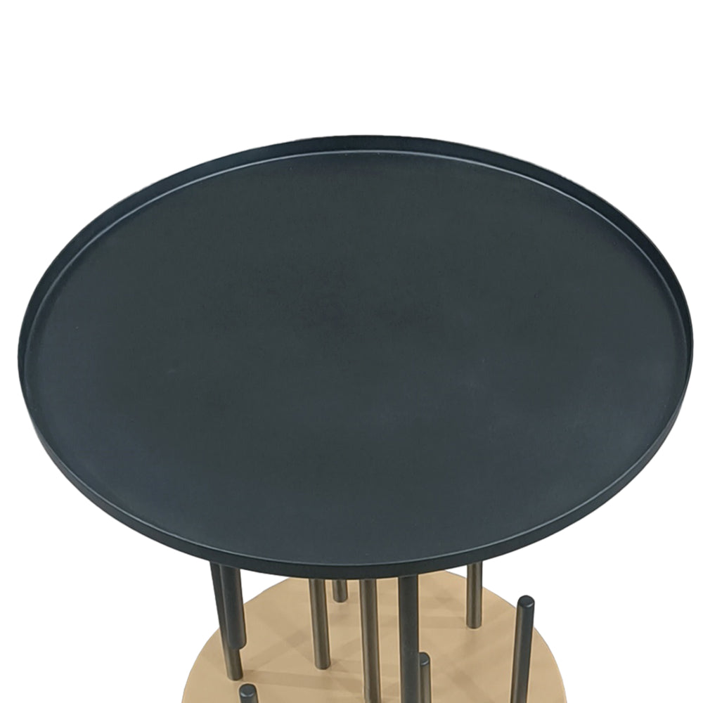 Neci 20 Inch Side End Table, Round Matte Black Tray Top, Modern Rod Supports with Brass Base - UPT-298835