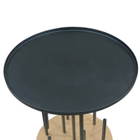Neci 20 Inch Side End Table, Round Matte Black Tray Top, Modern Rod Supports with Brass Base - UPT-298835