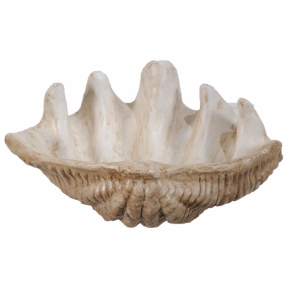 BM145582 Medium Clam Shell Accent, White