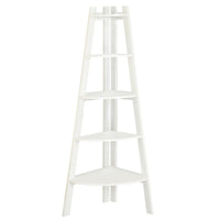 BM172780 Ladder Shelf, White