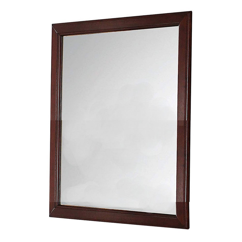 Transitional Style Mirror with Raised Wooden Frame, Brown and Silver - BM205580