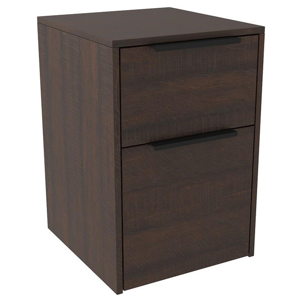 Two Tone Wooden File Cabinet with 2 File Drawers in Dark Brown - BM213336