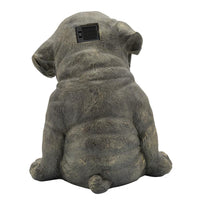 15 Inches Resin Slouching Dog Accent Decor with Solar Glasses, Antique Gold - BM238228