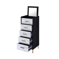 San 45 Inch 5 Drawer Jewelry Storage Chest, Gold Legs, Black and Silver - BM274615