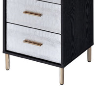 San 45 Inch 5 Drawer Jewelry Storage Chest, Gold Legs, Black and Silver - BM274615