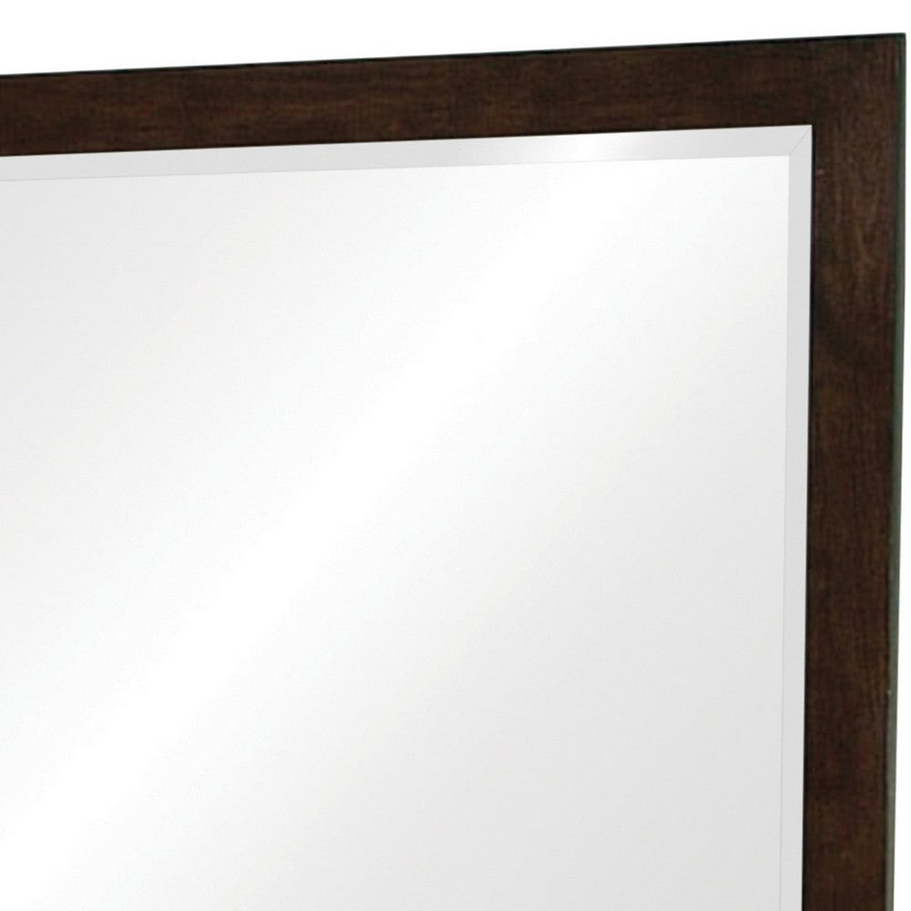 40 Inch Solid Wood Modern Mirror, Portrait, Framed, Cappuccino Brown - BM280469