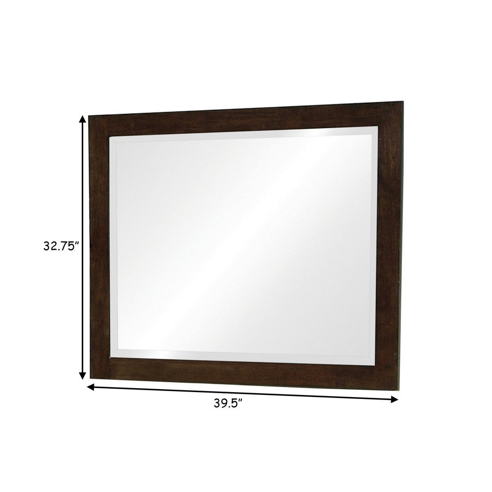 40 Inch Solid Wood Modern Mirror, Portrait, Framed, Cappuccino Brown - BM280469