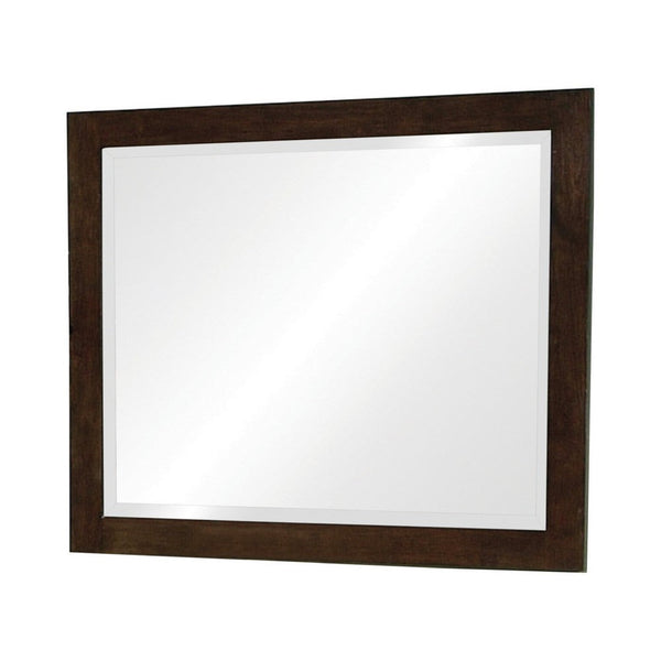 40 Inch Solid Wood Modern Mirror, Portrait, Framed, Cappuccino Brown - BM280469