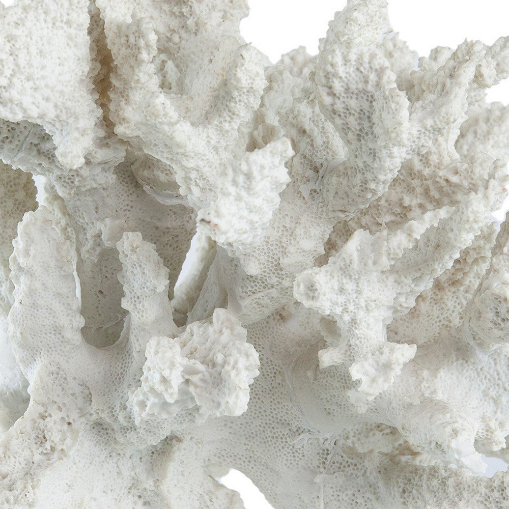 Lily 10 Inch Faux Coral Accent Sculpture, Polyresin Decorative Piece, White - BM284967