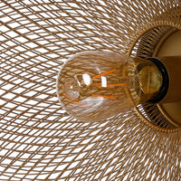 14 Inch Round Wall Mounted Lamp, Iron Mesh and Hardware, Gold Finished - BM285190