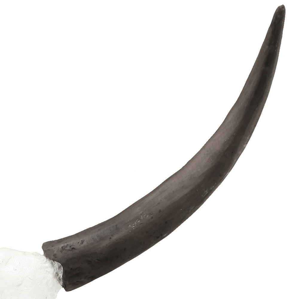 26 Inch Resin Cow Skull Accent Table Decoration, Metal Block Base, White - BM285592