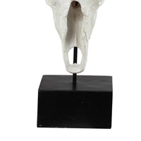 26 Inch Resin Cow Skull Accent Table Decoration, Metal Block Base, White - BM285592