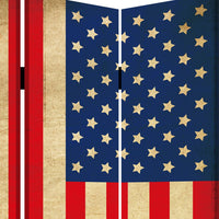 Alfie 71 Inch Folding Screen Room Divider, USA Stars and Stripes Design - BM294236