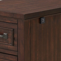 Eloise 23 Inch 2 Drawer File Cabinet with Fingerprint Biometric Lock, Brown - BM295422
