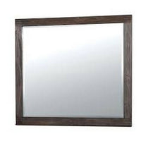 Rexburg Transitional Style Mirror, Dark Gray - FOA-CM7382M