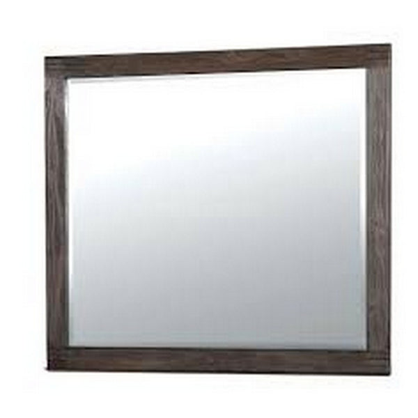 Rexburg Transitional Style Mirror, Dark Gray - FOA-CM7382M