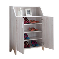 2 Door Wooden Shoe Cabinet with Top Shelf Storage in White - BM204140