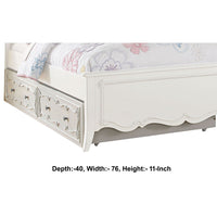 Twin Size Wooden Trundle with Round Knobs and Caster Wheels, White - BM204308