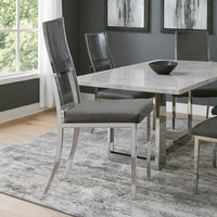 Metal Dining Side Chair with Acrylic Backing, Set of 2,Gray and Silver - BM204885