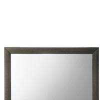 Transition Style Wooden Mirror with Rectangular Shape,Gray and Silver - BM205576