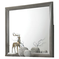 Transition Style Wooden Mirror with Rectangular Shape,Gray and Silver - BM205576