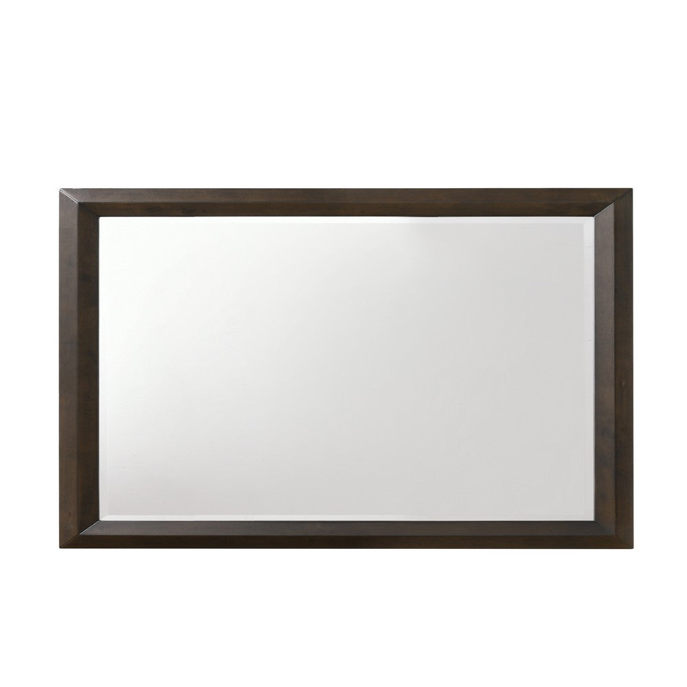 Transition Style Wooden Mirror with Rectangular Shape,Brown and Silver - BM205578