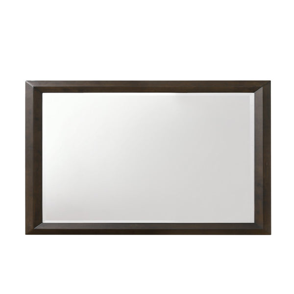 Transition Style Wooden Mirror with Rectangular Shape,Brown and Silver - BM205578