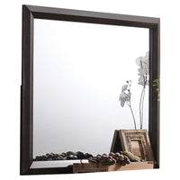 Transition Style Wooden Mirror with Rectangular Shape,Brown and Silver - BM205578