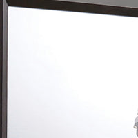 Transition Style Wooden Mirror with Rectangular Shape,Brown and Silver - BM205578