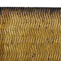 Modern Style Wood Wall Decor with Patterned Carving, Large, Gold & Brown - BM205910