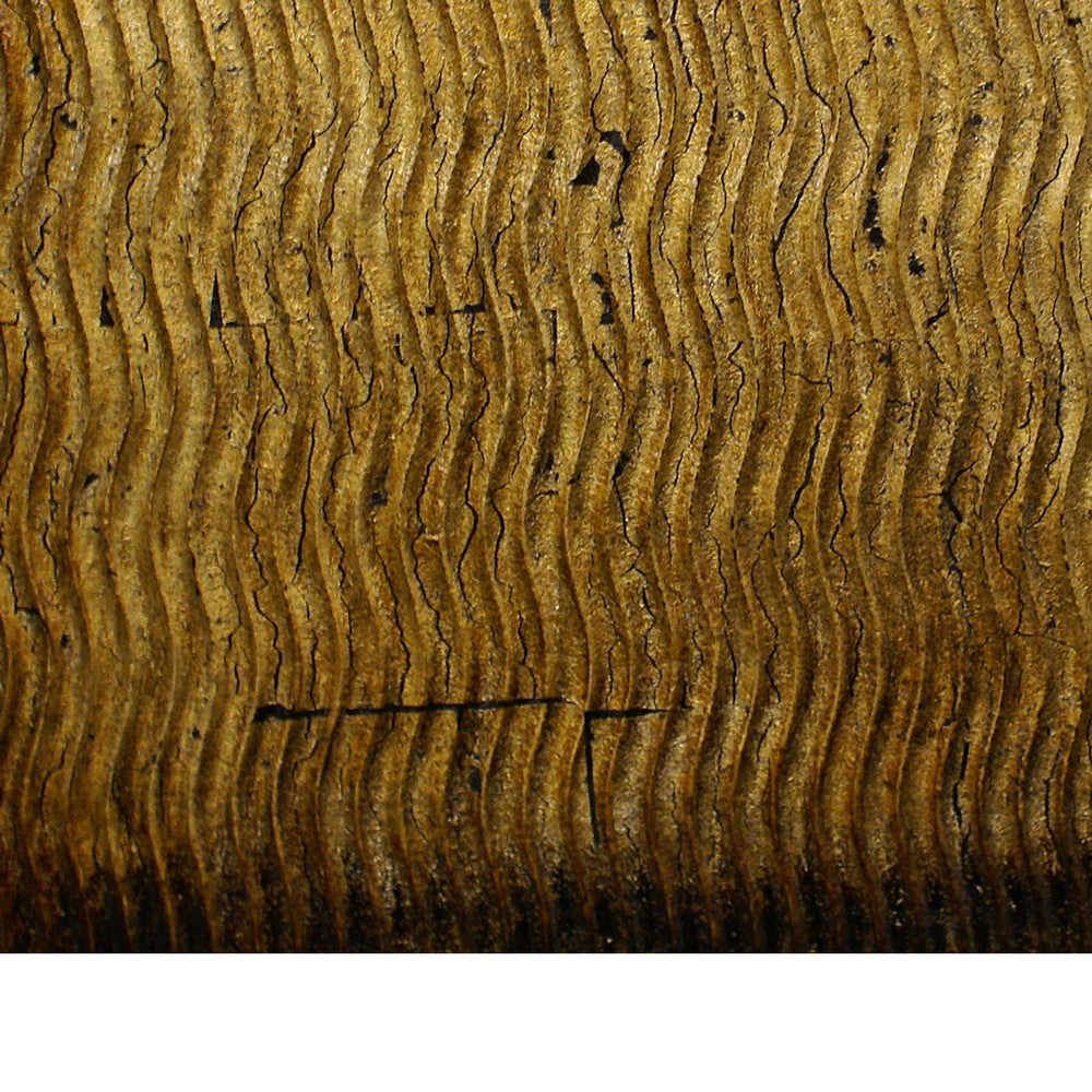 Modern Style Wood Wall Decor with Patterned Carving, Large, Gold & Brown - BM205910