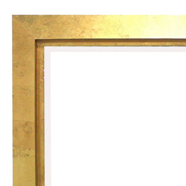 Contemporary Style Rectangular Wooden Frame Wall Mirror, Gold and Silver - BM211053