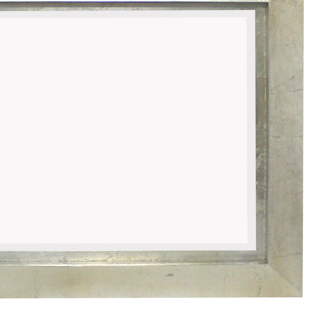 Contemporary Style Rectangular Wooden Frame Wall Mirror, Silver - BM211054
