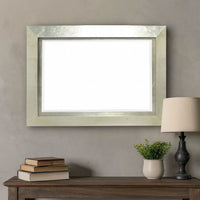Contemporary Style Rectangular Wooden Frame Wall Mirror, Silver - BM211054