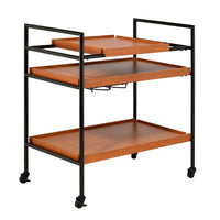 Metal Frame Serving Cart with Adjustable Compartments, Oak Brown and Black - BM211124