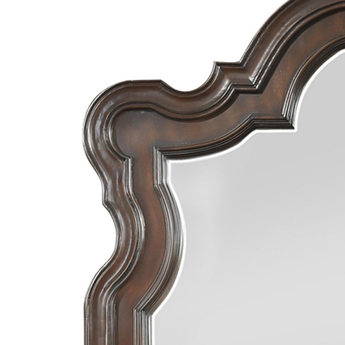 Scalloped Design Wooden Frame Mirror with Molded Details, Brown and Silver  - BM219069
